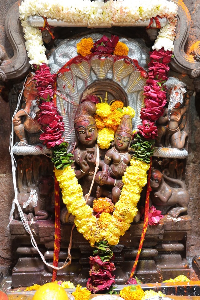 naidunia_image